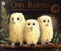 Owl Babies