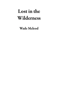 Lost in the Wilderness