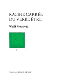 Wajdi Mouawad - Racine carrée du verbe être.