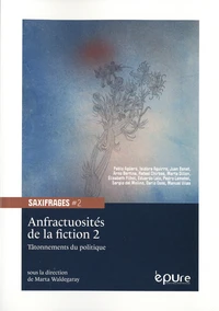 Anfractuosités de la fiction