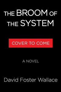 The Broom of the System