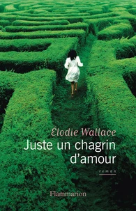 Juste un chagrin d'amour