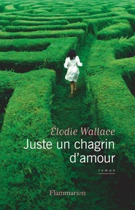 Juste un chagrin d'amour