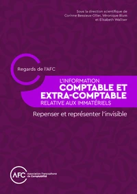 Information comptable et extra-comptable relative aux immatériels