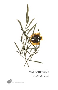 Walt Whitman - Feuilles d'herbe.