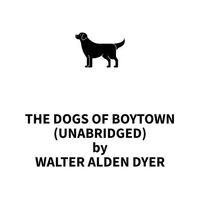 The Dogs Of Boytown (UNABRIDGED)
