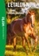 L'Etalon Noir NED 10 -  Flamme cheval sauvage
