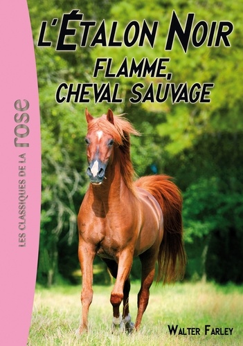 L'Etalon Noir Tome 10 Flamme, cheval sauvage