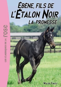 Ebène, fils de l'Etalon Noir