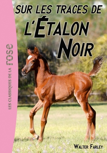 L'Etalon Noir Tome 7 Sur les traces de l'étalon noir