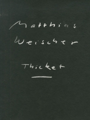 Walter Grasskamp - Matthias Weischer Thicket.
