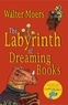 Walter Moers - The Labyrinth of Dreaming Books.