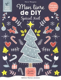Mon livre de DIY Spécial Noël