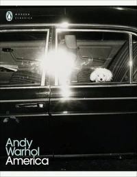 Andy Warhol America /anglais