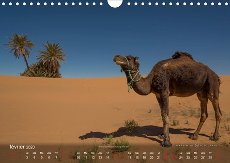 CALVENDO Nature  Sahara - Terre d'immensité (Calendrier mural 2020 DIN A4 horizontal). La beauté sans fin, l'étendue et la sérénité du Sahara présentées en 12 tableaux à couper le souffle réalisés par le photographe professionnel, Karl H. Warkentin. (Calendrier mensuel, 14 Pages )