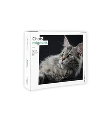 Agenda semainier Chats mignons