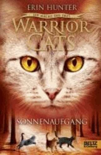 Warrior Cats Staffel 03/6. Die Macht der drei. Sonnenaufgang.