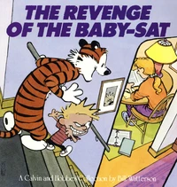 A Calvin and Hobbes Collection