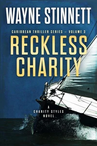 Reckless Charity: A Charity Styles Novel