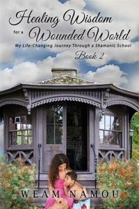 Healing Wisdom for a Wounded World  My Life-Changing Journey Through a Shamanic School (Book 2)