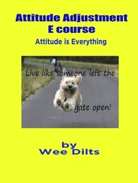  Wee Dilts - Attitude Adjustment E course.