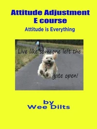 Attitude Adjustment E course