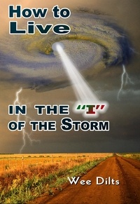  Wee Dilts - How to Live in the "I" of the Storm.
