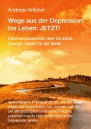 Wege aus der Depression ins Leben: JETZT ! - Erfahrungsberichte über 25 Jahre Energie-Arbeit für die Seele.