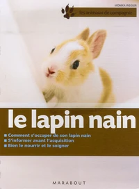 Le lapin nain