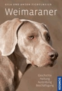 Weimaraner - Geschichte, Haltung, Ausbildung, Zucht.