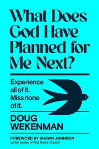 What Does God Have Planned for Me Next?