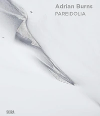 Pareidolia