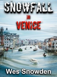  WES SNOWDEN - Snowfall in Venice.