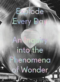 Explode every day an inquiry into the phenomena of wonder