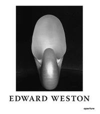 The Flame of Recognition