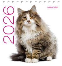 Calendrier de table Chats