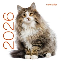 Calendrier mural Chats