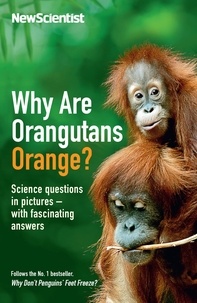 Why Are Orangutans Orange? - Science questions in pictures -- with fascinating answers.