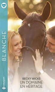 Un domaine en héritage