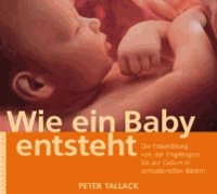 Wie ein Baby entsteht - Die Entwicklung von der Empfängnis bis zur Geburt in sensationellen Bildern.