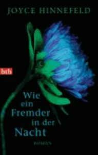Wie ein Fremder in der Nacht