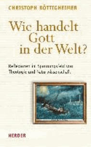 Wie handelt Gott in der Welt? - Reflexionen im Spannungsfeld von Theologie und Naturwissenschaft.