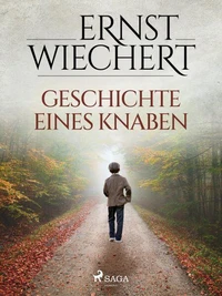 Geschichte eines Knaben