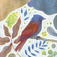 Lot de 10 cartes simple "oiseau bleu" avec enveloppe sous cellophane