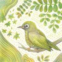 Lot de 10 cartes simple "oiseau jaune" avec enveloppe sous cellophane