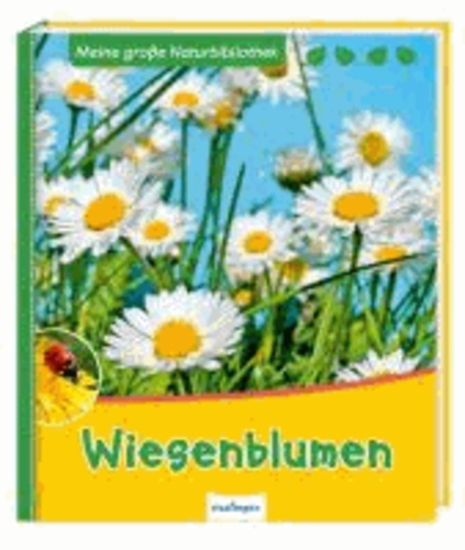 Wiesenblumen.