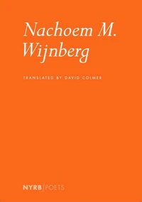Nachoem M. Wijnberg