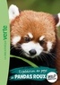  Wild Immersion - Wild Immersion 16 - Expédition au pays des pandas roux.