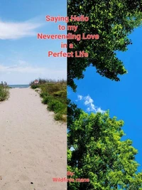 Saying Hello to my Neverending Love in a Perfect Life