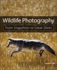 Wildlife Photography - From Snapshots to Great Shots.